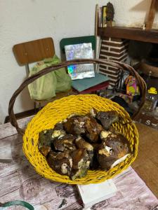 Mad i lejligheden eller i nærheden