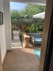 a view of a patio with a table and a tree at Beach House Mallorca in Cala Pi