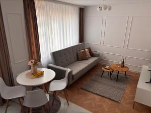 ラチブシュにあるApartament Nad Odrąのソファとテーブルのあるリビングルーム