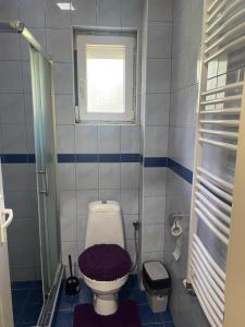 Koupelna v ubytování Apartman Percic