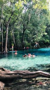 Paesaggio naturale nelle vicinanze della casa vacanze