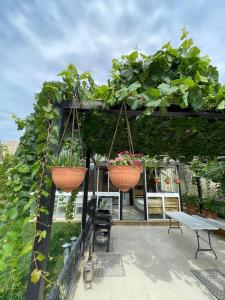 Novkhani Garden by the beachにある庭