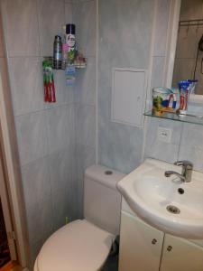 a small bathroom with a toilet and a sink at Yulia Apartment in Narva +10 photos