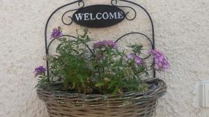 Poggio NativoB&B In Sabina的相册照片
