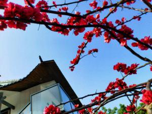 Um jardim no exterior de Guilin Tranquil Peaks Retreat by Reed Flute Cave