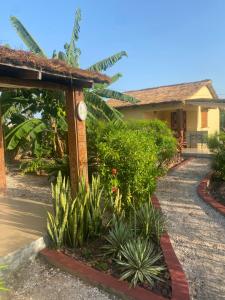 a garden in front of a house with plants at Villa Nemocotier in Cap Skirring