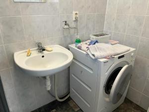 a bathroom with a sink and a washing machine at Rodinný dům Luby in Cheb