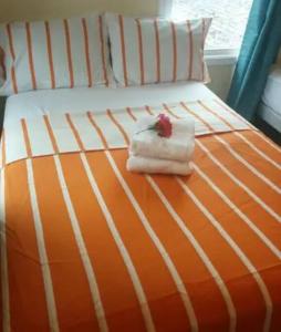 Una cama naranja y blanca con un juguete. en Admiral's Club, en Gainesville 73 fotos más