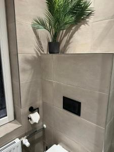 ein Badezimmer mit Toilette und einer Topfpflanze in der Unterkunft Suity-Centrum in Hamburg + 37 Fotos
