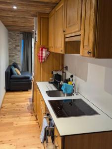 a kitchen with a sink and a counter top at Studio Le Chamois - Veysonnaz in Veysonnaz