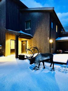 un renne marchant dans la neige devant un bâtiment dans l'établissement Arctic Villa, à Kvaløya