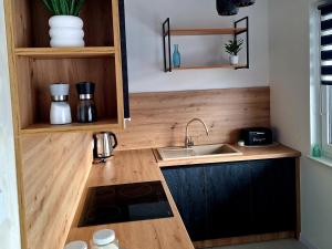 Kuchyň nebo kuchyňský kout v ubytování Apartament Grey Polana Szaflarska 6B Nowy Targ