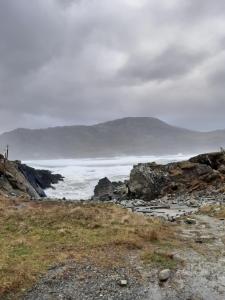 Náttúran í nágrenni sumarhússins