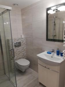 a bathroom with a toilet and a sink and a shower at Noclegi Pod Lasem in Kraków