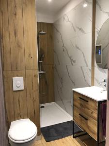a bathroom with a shower and a toilet and a sink at Appart 34m2 rénové , lumineux in Vittel