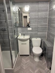 a bathroom with a toilet and a sink and a shower at Apartamenty w centrum Głogowa in Głogów