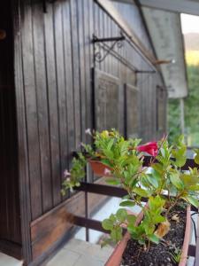 a small house with plants on the porch at Chalet del Lago Laceno in Villaggio Laceno +82 photos