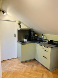 eine Küche mit Spüle und Arbeitsplatte in der Unterkunft Grand Paris Cosy House in Vitry-sur-Seine