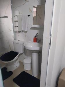 a small bathroom with a toilet and a sink at Casa Vanuze 2 in Holambra