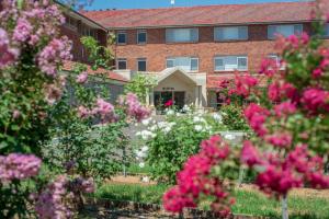 Mary MacKillop Spirituality Centre Baulkham Hills外面的花园