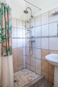 un baño con ducha y lavabo en Tout confort à proximité de tout, en Case-Pilote