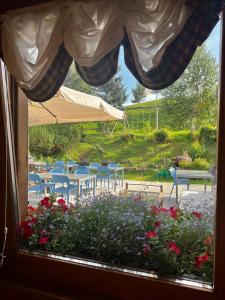 a window view of a garden with chairs and flowers at La Locanda in Livigno +42 photos