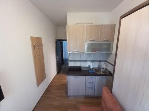 a small kitchen with a sink and a microwave at Apartment Marija in Risan