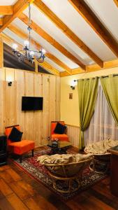 TV a/nebo společenská místnost v ubytování Cabaña Roca Volcán