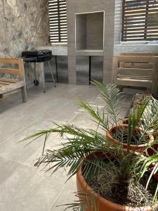 Fotografie z fotogalerie ubytování Quinta del sol v destinaci Chihuahua