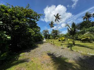 a dirt road with palm trees and a blue sky at Austin Villa Bolgoda in Bandaragama +22 photos