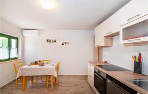 Kuchyňa alebo kuchynka v ubytovaní 4 Bedroom Amazing Home In Benkovac