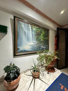 Foto dalla galleria di Hotel Plaza Real Pereira a Pereira