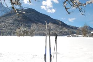 Gallery image of Apartments Trata in Kranjska Gora