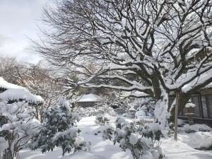 聖護院御殿荘 during the winter