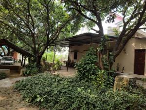 a house with a bunch of green plants around it at Corbett Green Orchard in Rāmnagar +23 photos