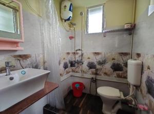 a bathroom with a sink and a toilet at Perch Villa Homestay in Shānti Niketan