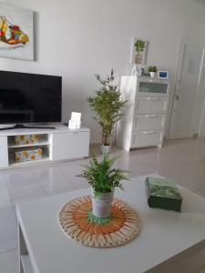 a kitchen with a white counter with two potted plants on it at Casa Lidia Costa Calma beach in Costa Calma