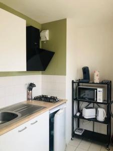 Kuchyň nebo kuchyňský kout v ubytování Studio cozy Hyper Centre
