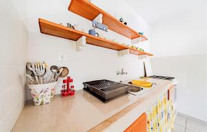 a kitchen with a counter with a stove at Gorgeous Home In Zrnovo in Žrnovo