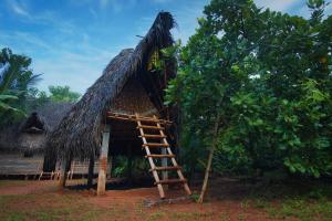 Foto sihtkohas Auroville asuva majutusasutuse Portal galeriist