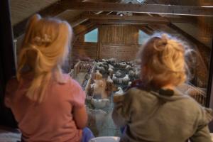 twee vrouwen kijken naar een schapententoonstelling in een schuur bij Unik fjøsleilighet in Levanger