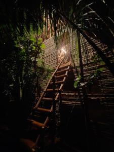 Foto sihtkohas Auroville asuva majutusasutuse Portal galeriist