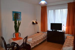 Telewizja i/lub zestaw kina domowego w obiekcie Hotel Monttis