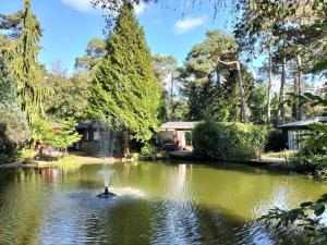 Příroda nedaleko chaty