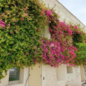 a building with flowers on the side of it at Apartamento Convento das Bernadas Tavira in Tavira +26 photos