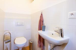 a bathroom with a sink and a toilet at Private holiday house Vivendi in Liptovský Mikuláš