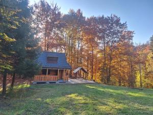 a cabin in the middle of a field with trees at Slovenská Koliba in Jasenie +28 photos