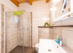 a bathroom with a shower and a toilet and a sink at Teufelsmauer-Blick in Thale