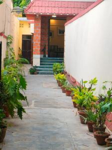 La fachada o entrada de Disharee 51A