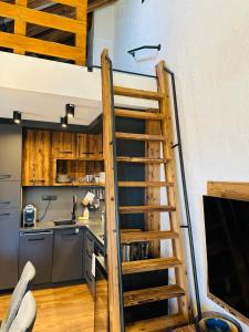 Kuchyň nebo kuchyňský kout v ubytování Hotel Ovruč apartmány Vadian